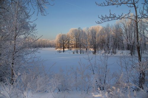 Сибирское утро!