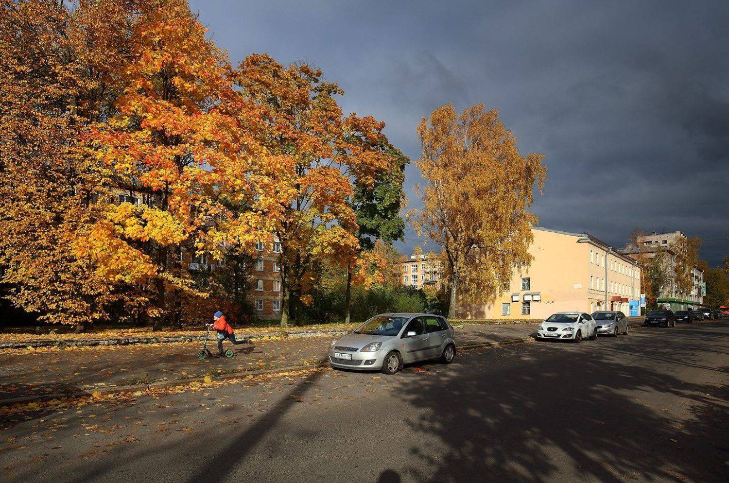 , Николай Бобов