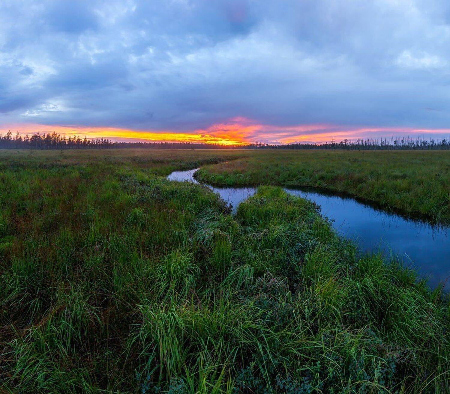 ленинградская область, ленобласть, болото, туман, закат, Арсений Кашкаров