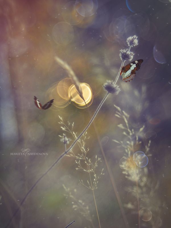 * фото превью