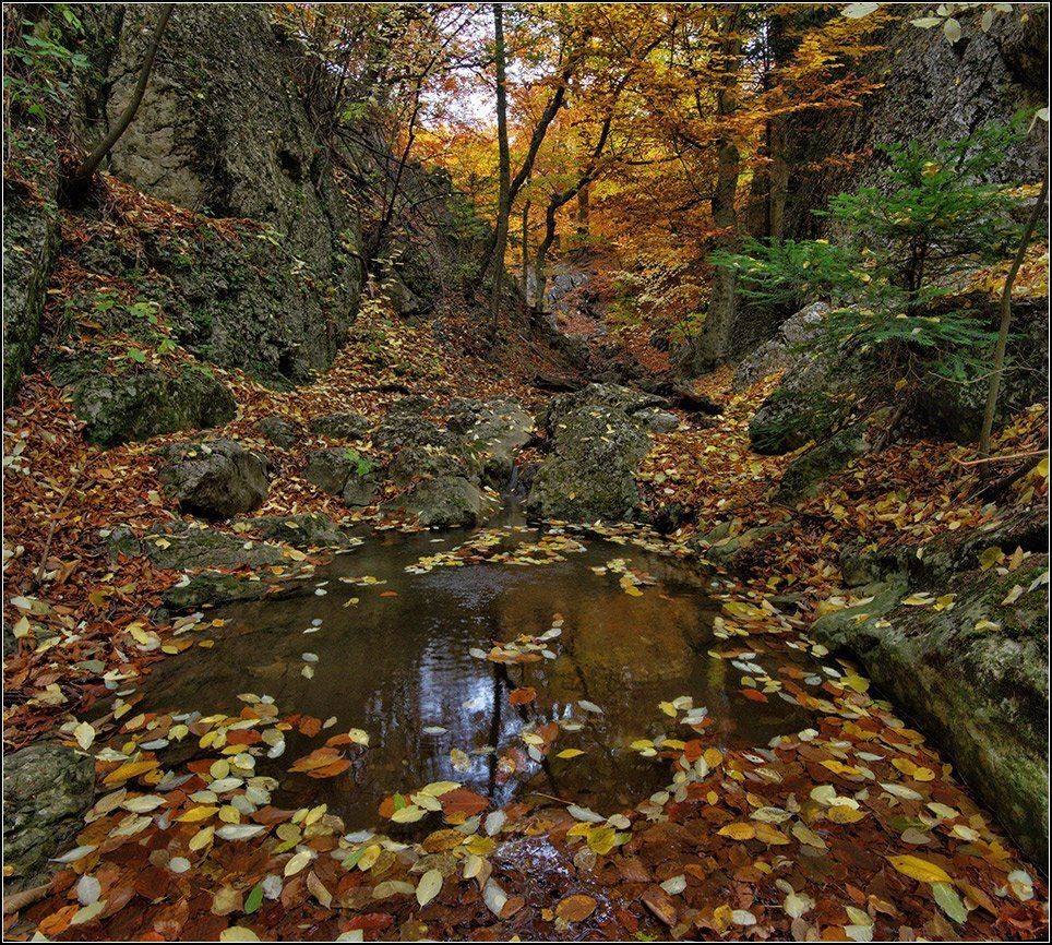 крым, осень, джурла, АНАТОЛИЙ ДОВЫДЕНКО