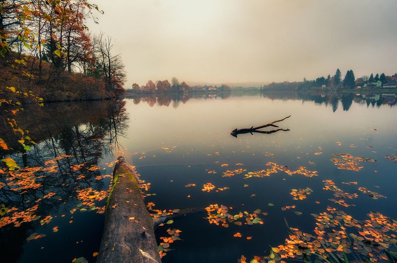 Autumn by the lake фото превью