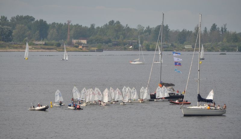 Цып-цып-цып... фото превью