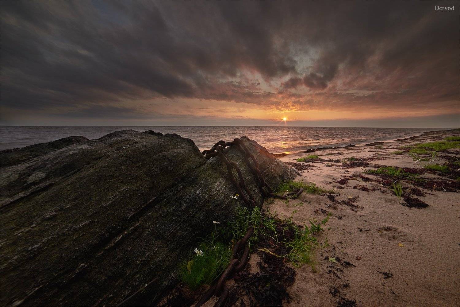 #dervod #drevo, Демид Волков