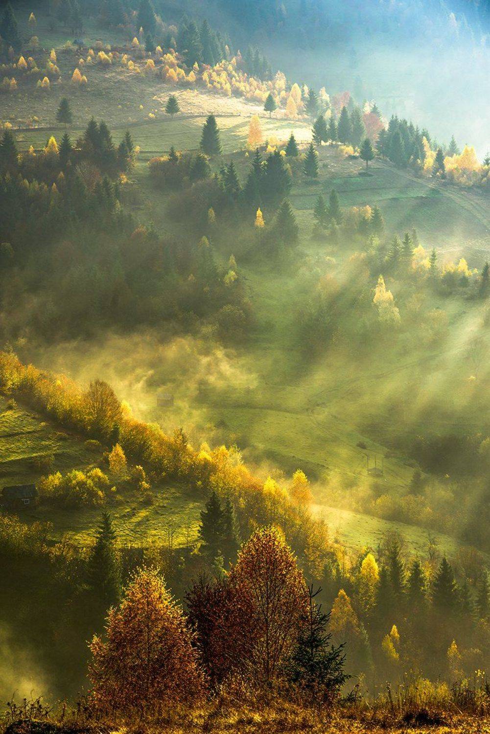 , Леонид Закревский