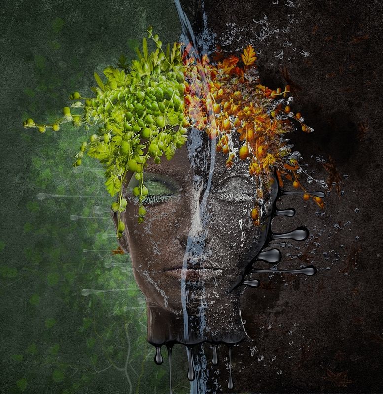 Metomorphosis фото превью