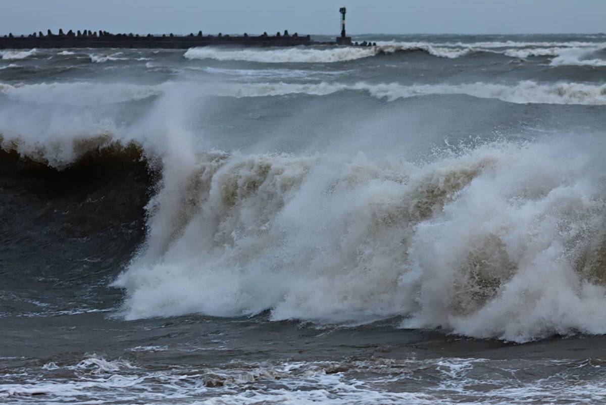 , Геннадий Новов