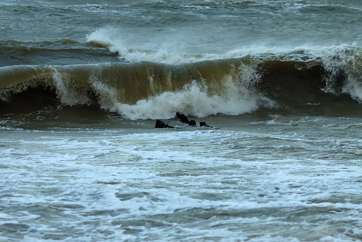 , Геннадий Новов