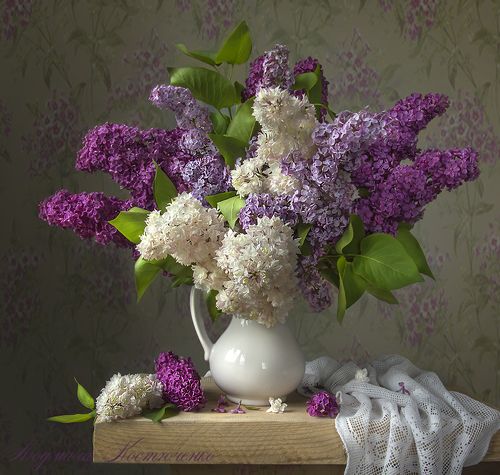 Цветёт сирень в деревне.