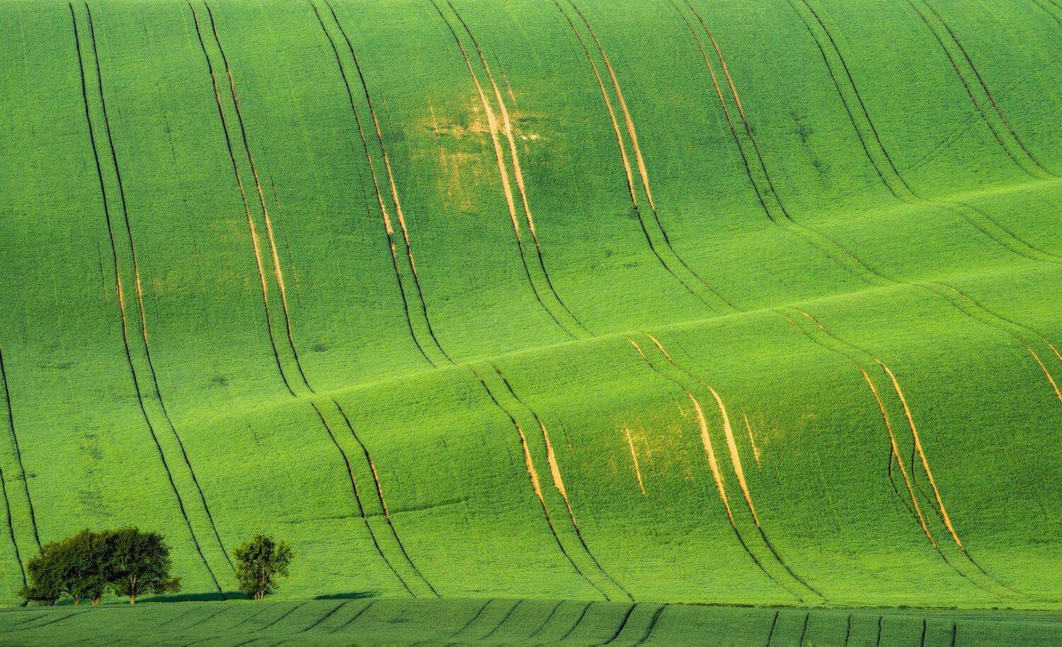 чехия, моравия, czech, czechia, moravia, morava, green, grass, meadow, hill, tree, mountain, spring, sunny, day, Василий Яковлев