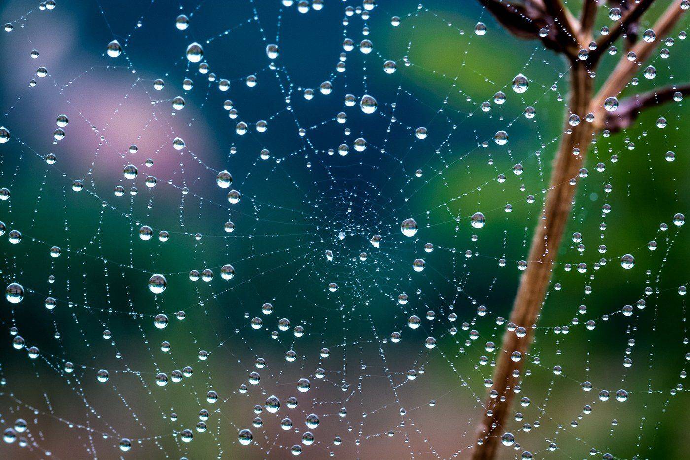 , Юрий Юрьев
