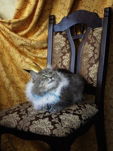 И вот шальная императрица.....
