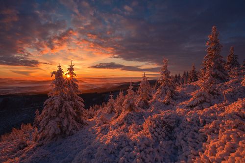 Deep Winter Color Palette...