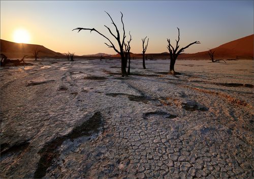 Evening in the Deadvlei