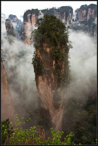 ТУМАННЫЙ   АВАТАР