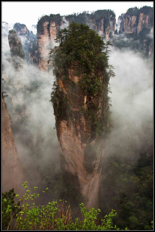 аватар ТУМАННЫЙ   АВАТАР фото превью