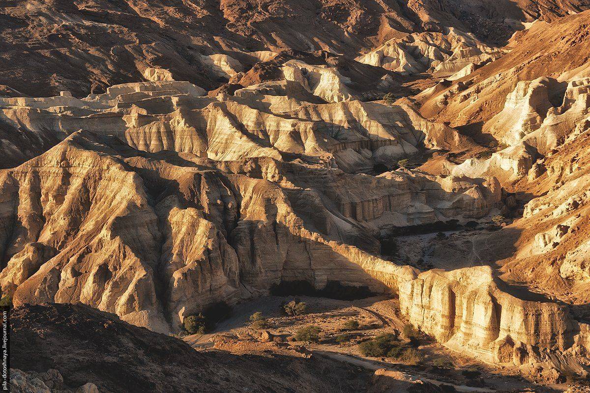 , Анна Аринова