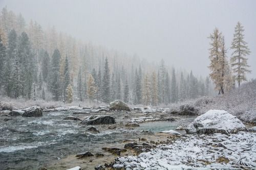 не лётная погода