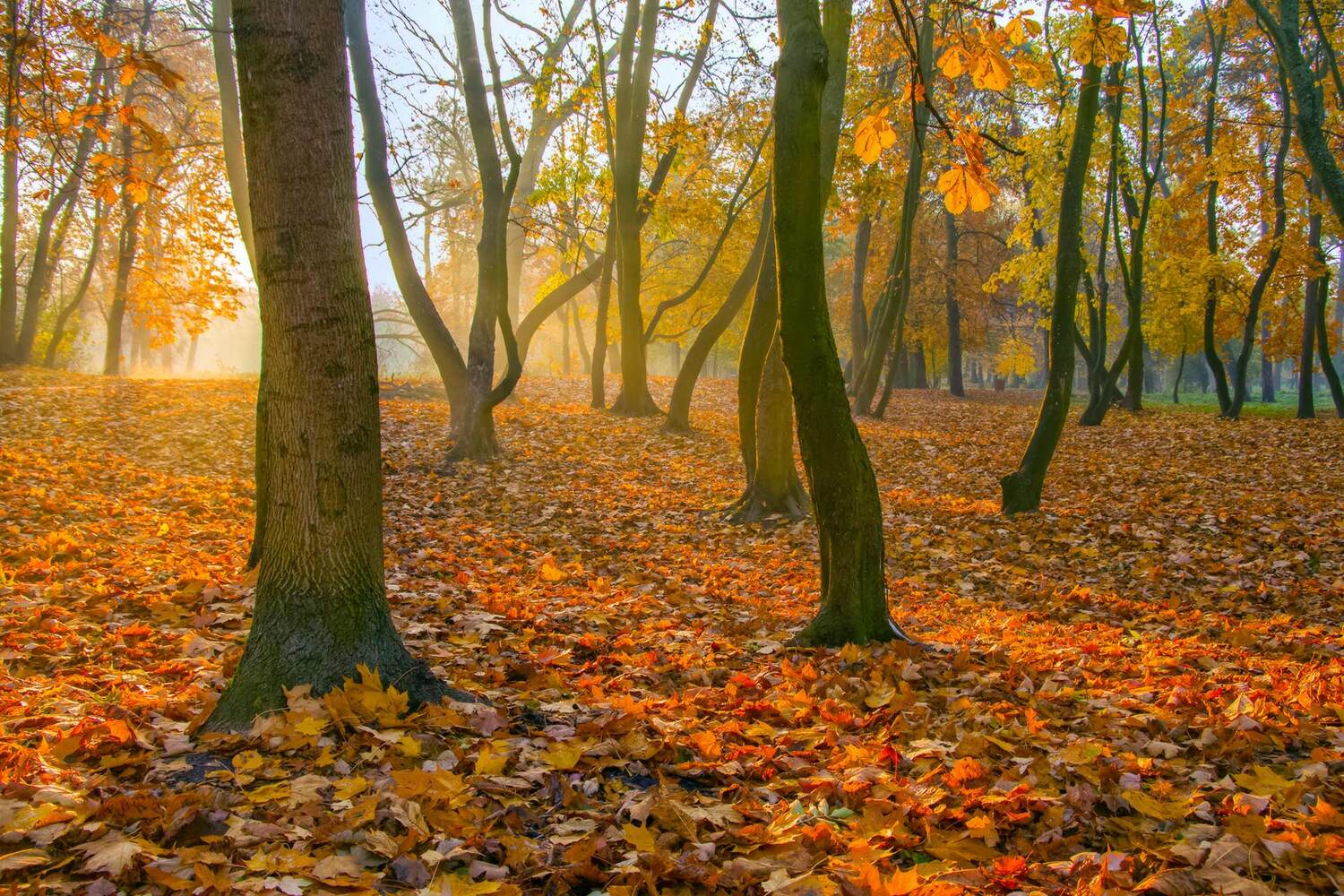 , Павел Дунюшкин