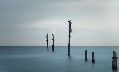 Вечерние посиделки.