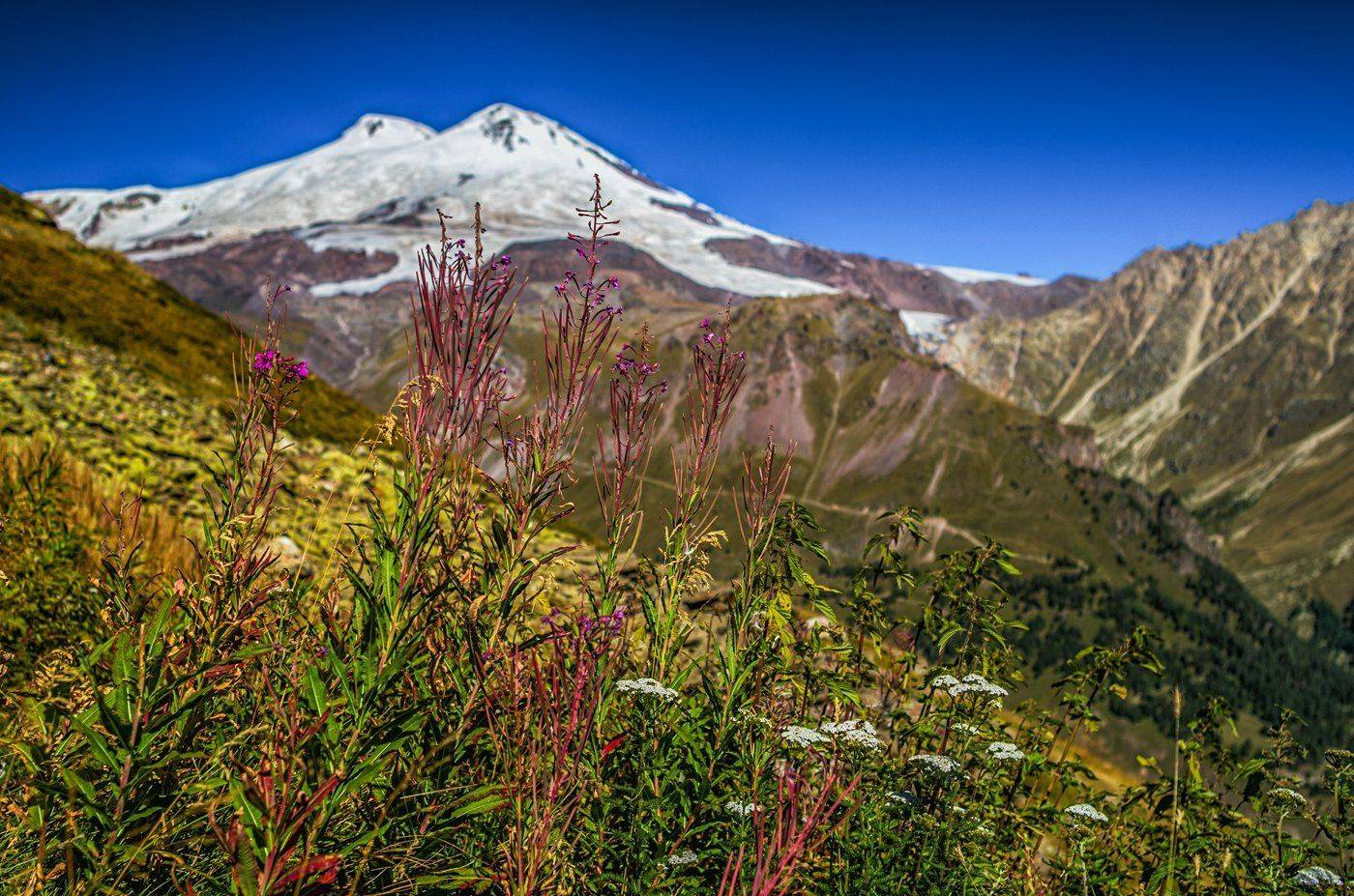 , Игорь Мелекесцев