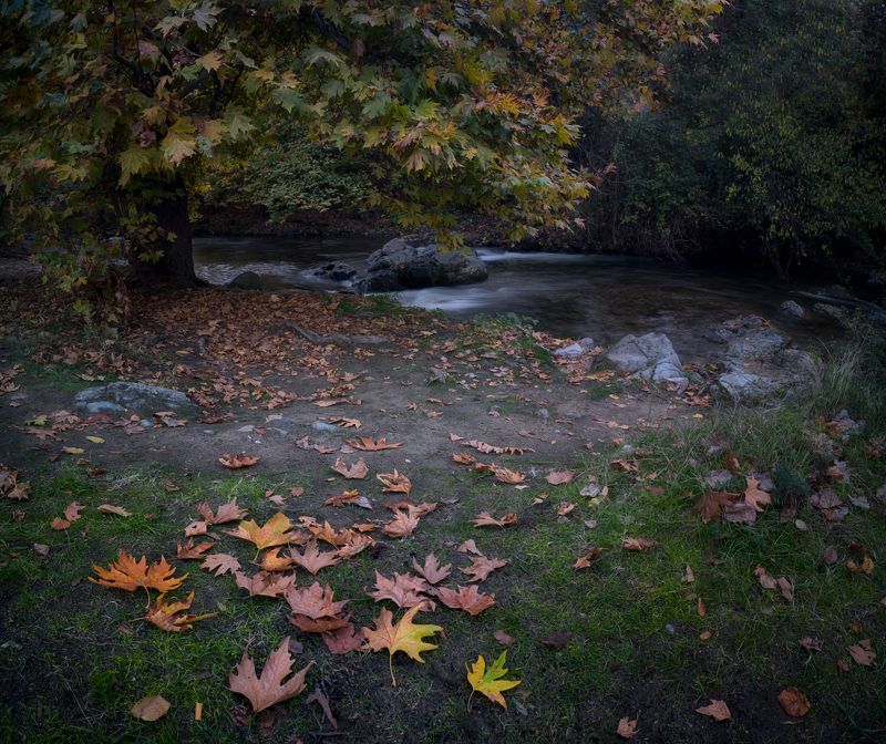 Есен фото превью