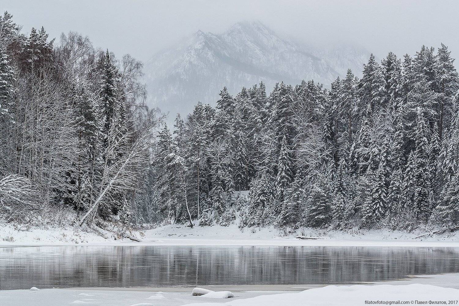 алтай, сибирь, siberia, зима, лебедь, снег, лед, ноябрь, салоп, Павел Филатов