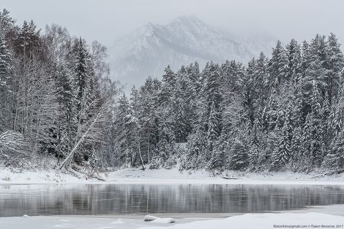 Салоп и  Лебедь