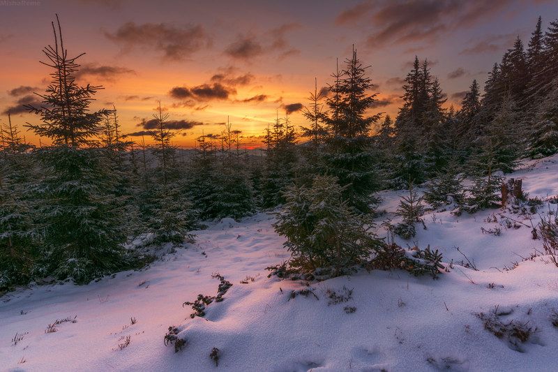 Sunrise фото превью