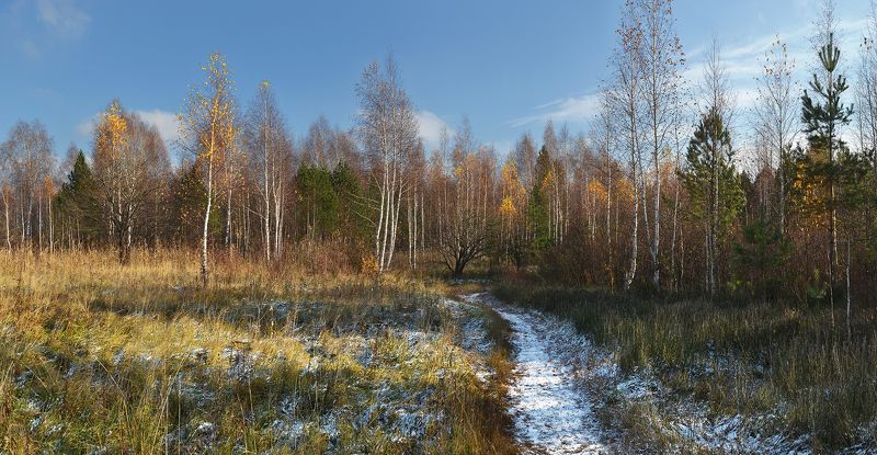 солнечный день, желтые листья, березки, тропинка, снег, осень Октябрь фото превью
