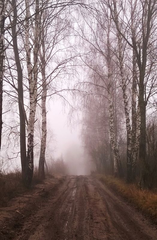 frog, nature, tree, day Frog фото превью