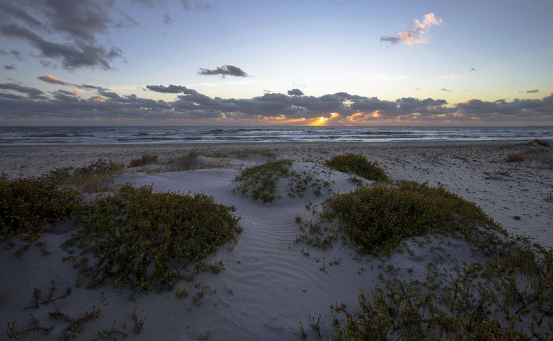 тунис, берег, восход, посейдония, океаника *** фото превью