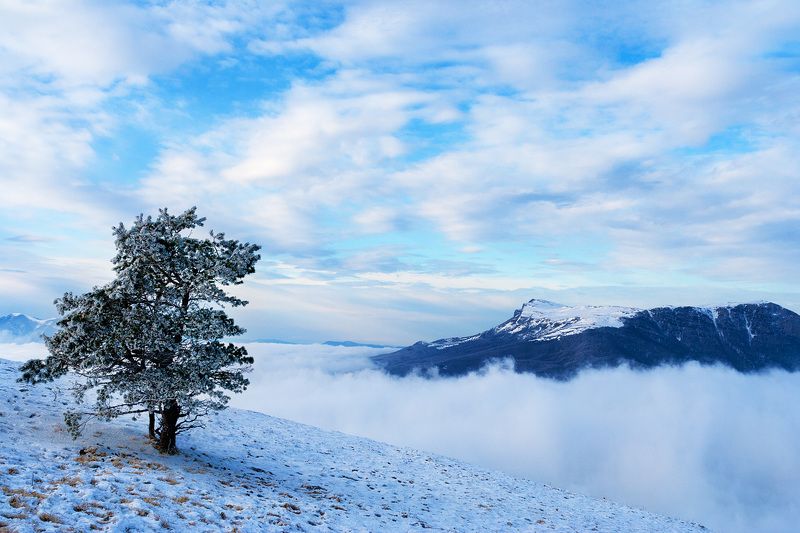 Зима наближається... фото превью