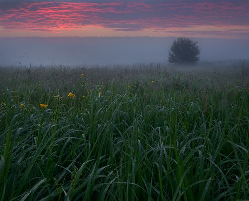 / В росе, перед рассветом... /