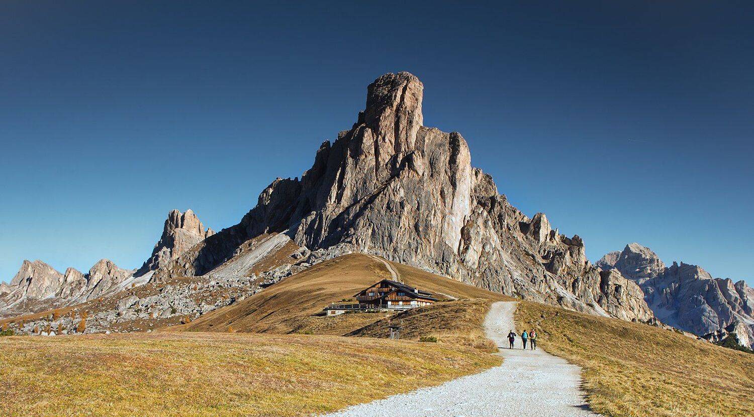 , Игорь Дубровский