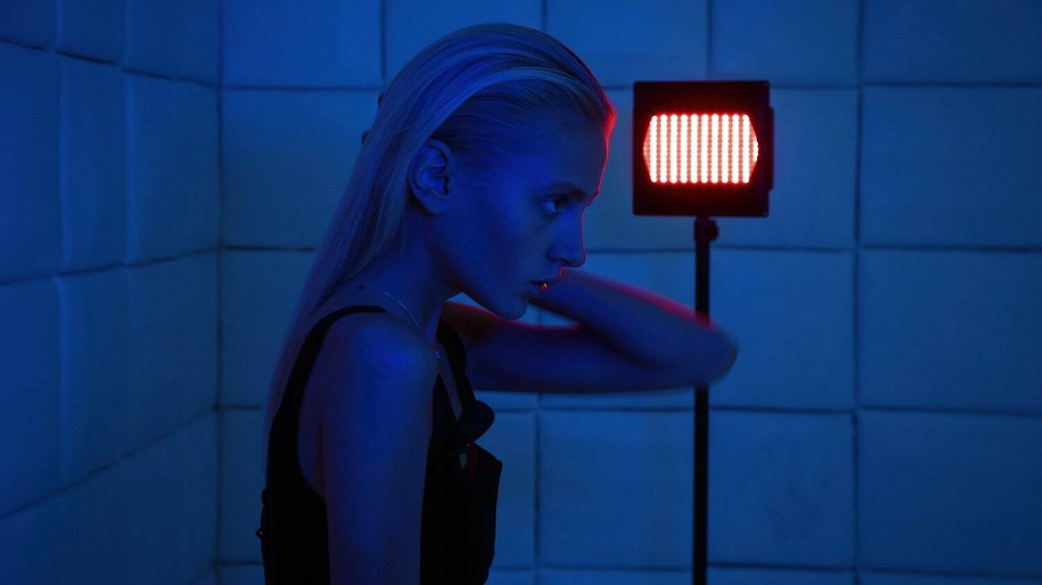 квест, Кривонос Вячеслав