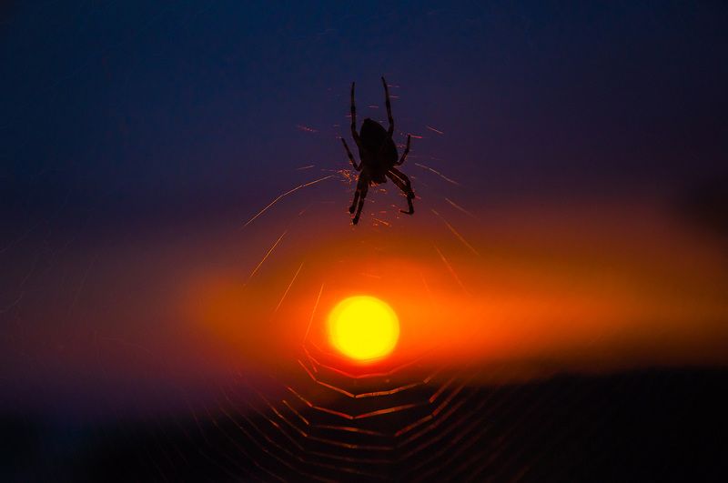 Marine sketches фото превью