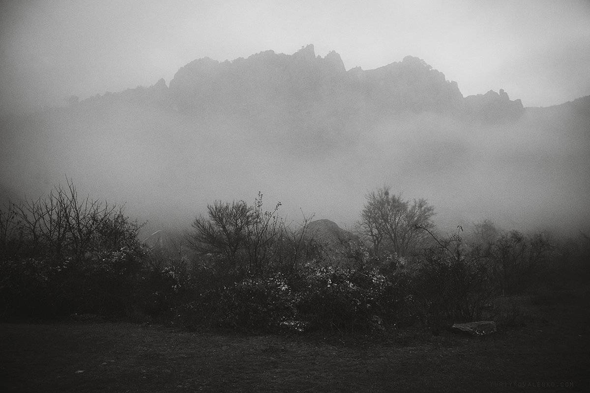 крым, Юрий Коваленко