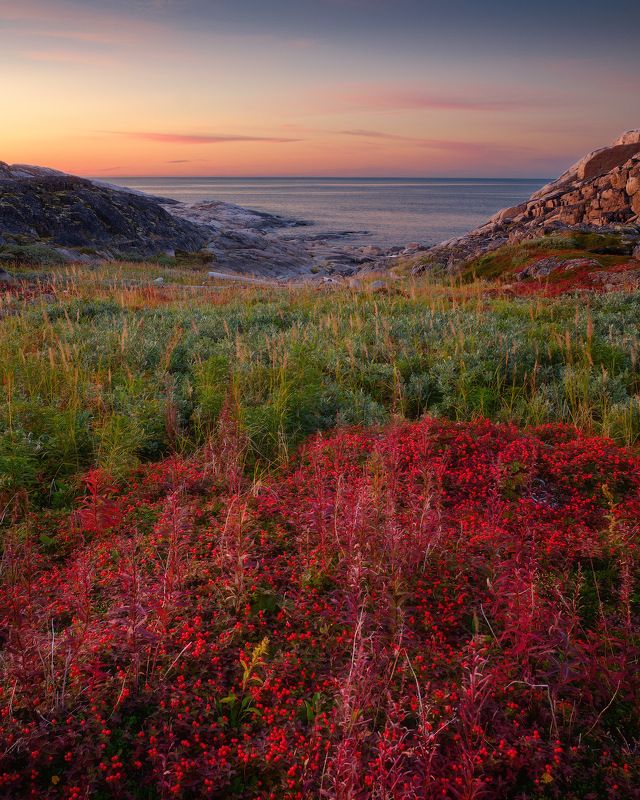 россия, кольский полуостров, север, териберка, природа, пейзаж, осень, море, закат, сумерки, вода, солнце, камни Краски Русского Севера фото превью