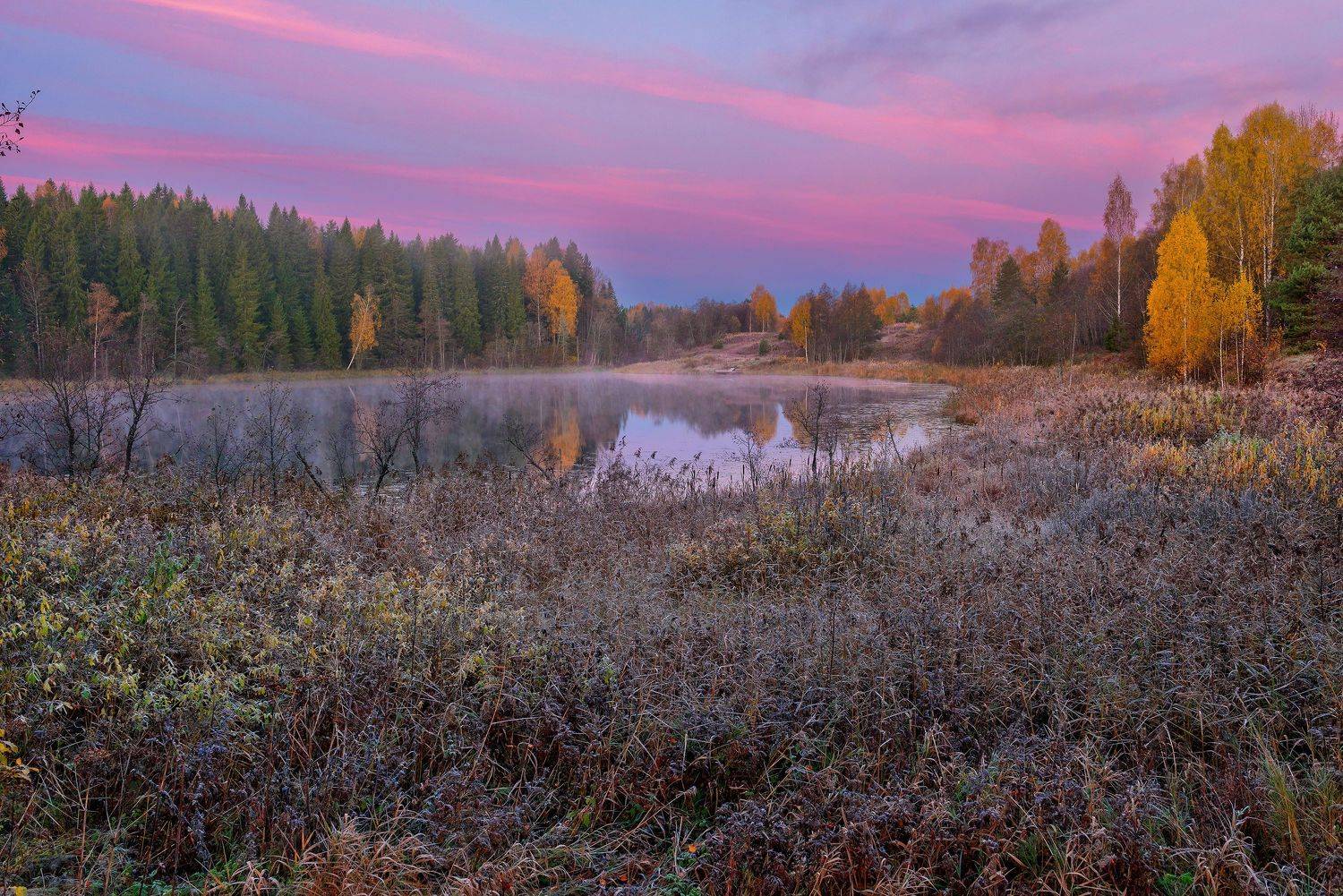 фототуры с рябковым, андреапольские озера, осень., Владимир Рябков