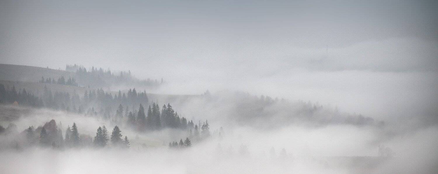 горы, карпаты, октябрь, осень, пилипец, туман, утро, Вейзе Максим