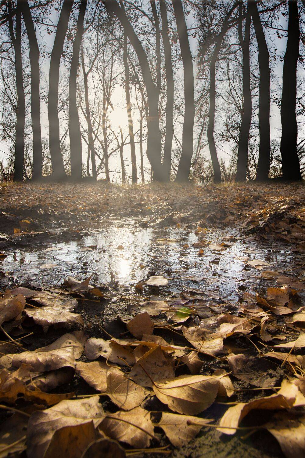 орск, оренбургская, обл., качурин, новотроицк, южный, урал, алтай, алтайский, край, Качурин Алексей