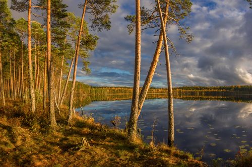 про  лесное озеро и солнечный вечер