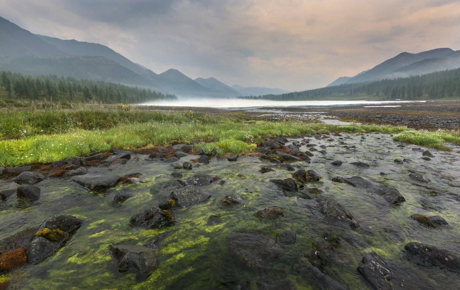 , Павел Глушков