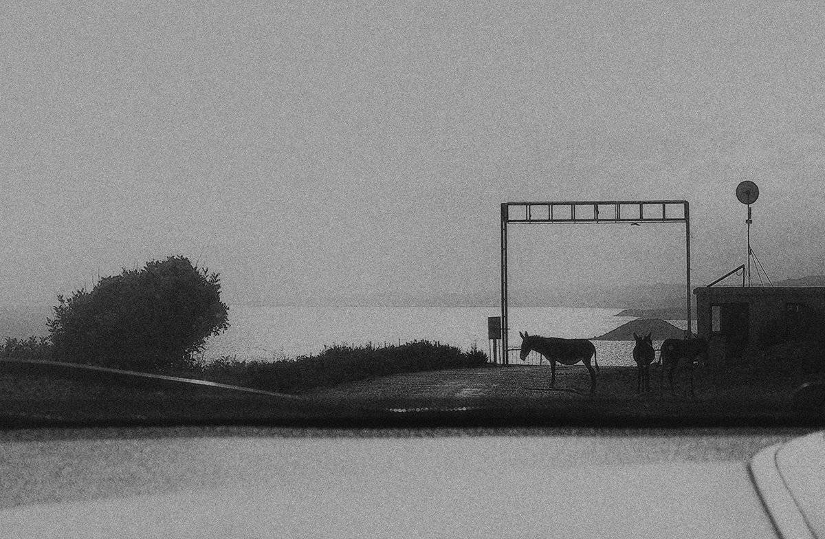 , Елена Лаврова