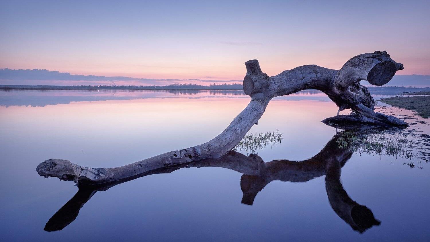 , Антон Кононов