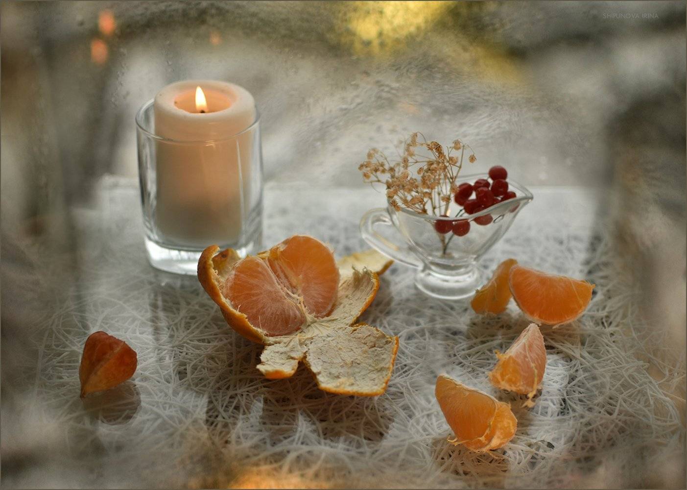 , Шипунова Ирина