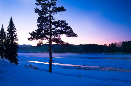 Одиночество