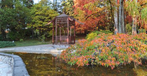 Прогулка по Сочинскому дендрарию.