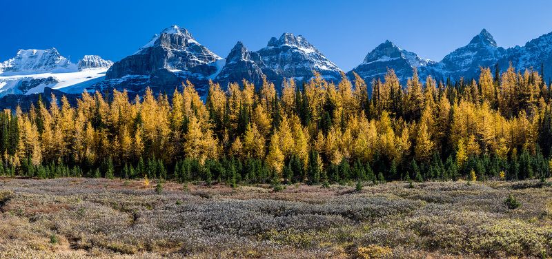 Канада, Скалистые горы, Банф, осень, пейзаж Осень в горах фото превью